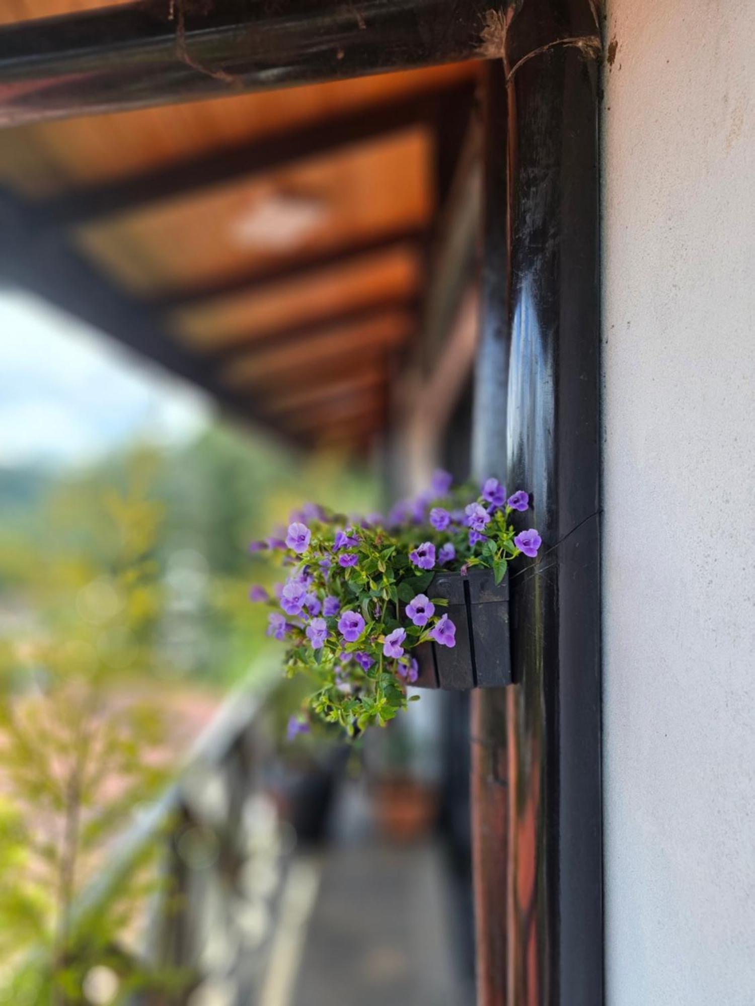 Chez Allen Nuwara Eliya Esterno foto
